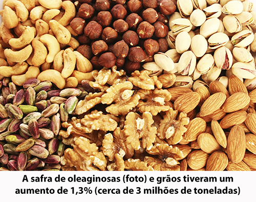 Foto: Jornal Capital Caxias_Banco de Imagens