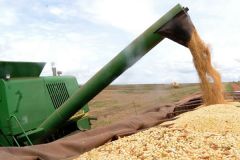 Brasil aumenta produtividade de grãos na safra 2018 2019 graos editada Agência Brasil