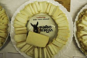 Brasil recebe autorização para exportar produtos lácteos para o Egito Fabio Rodrigues Pozzebom Agência Brasil