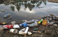 Brasil é o 4º país que mais produz lixo no mundo diz WWF Martine Perret ONU Meio Ambiente