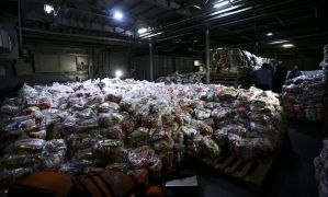 MPRJ ajuiza ação contra fundação Marcelo Camargo Agência Brasil