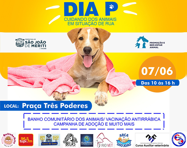Foto: Banco de Imagens São João de Meriti promove o Dia P, ação social para animais em situação de rua