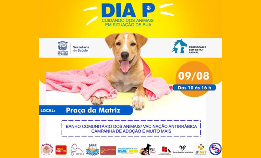 Foto: Banco de Imagens Dia P, ação social voltada para animais em situação de rua