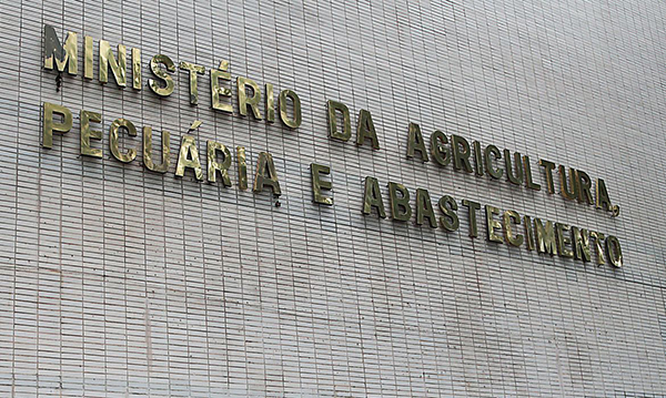 Foto: Banco de Imagens Ministério confirma casos de vaca louca em Mato Grosso e Minas Gerais