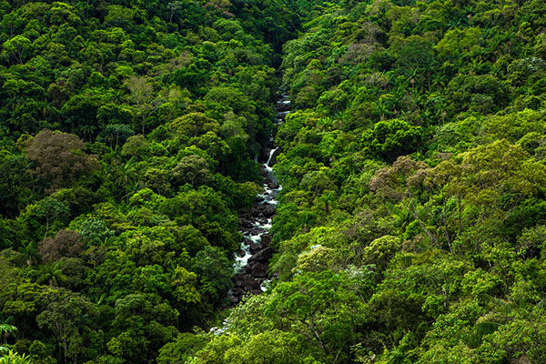 Governo do Estado abre inscrições para o programa Ambiente Jovem