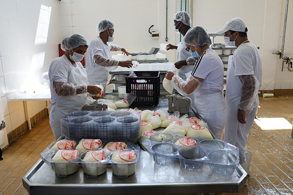 Foto: Banco de Imagens Governo disponibiliza R$ 2 milhões para produtores de leite do Rio
