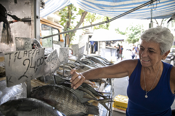 Governo do Rio celebra o aumento da exportação de peixes produzidos no Estado