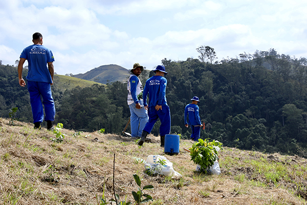 Cedae inicia plantio no Corredor Tinguá-Bocaina