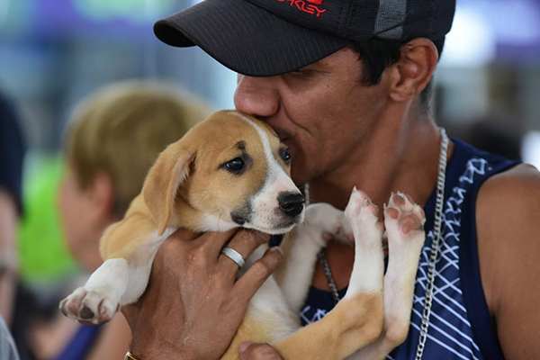 Foto: Banco de Imagens Protetores de animais de Maricá recebem primeiro pagamento do programa “Mumbucão”