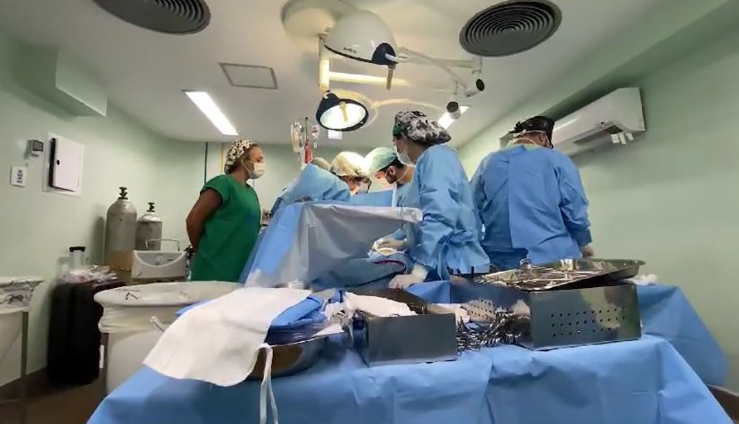 Cresce o número de famílias que concordam em doar órgãos nos hospitais do Estado