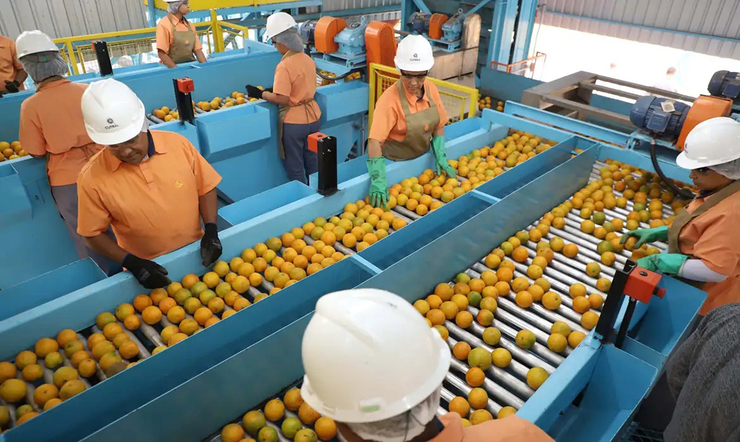 Foto: Ari Dias/Governo do Paraná/Agência Brasil EUA divulgam lista de quase 700 produtos que não serão taxados