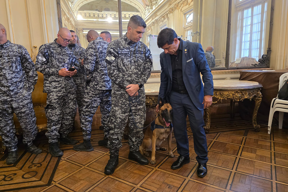 Foto: Barbara Samanta Cão farejador Hulk do BAC recebe medalha inédita da Alerj após apreensão histórica de drogas
