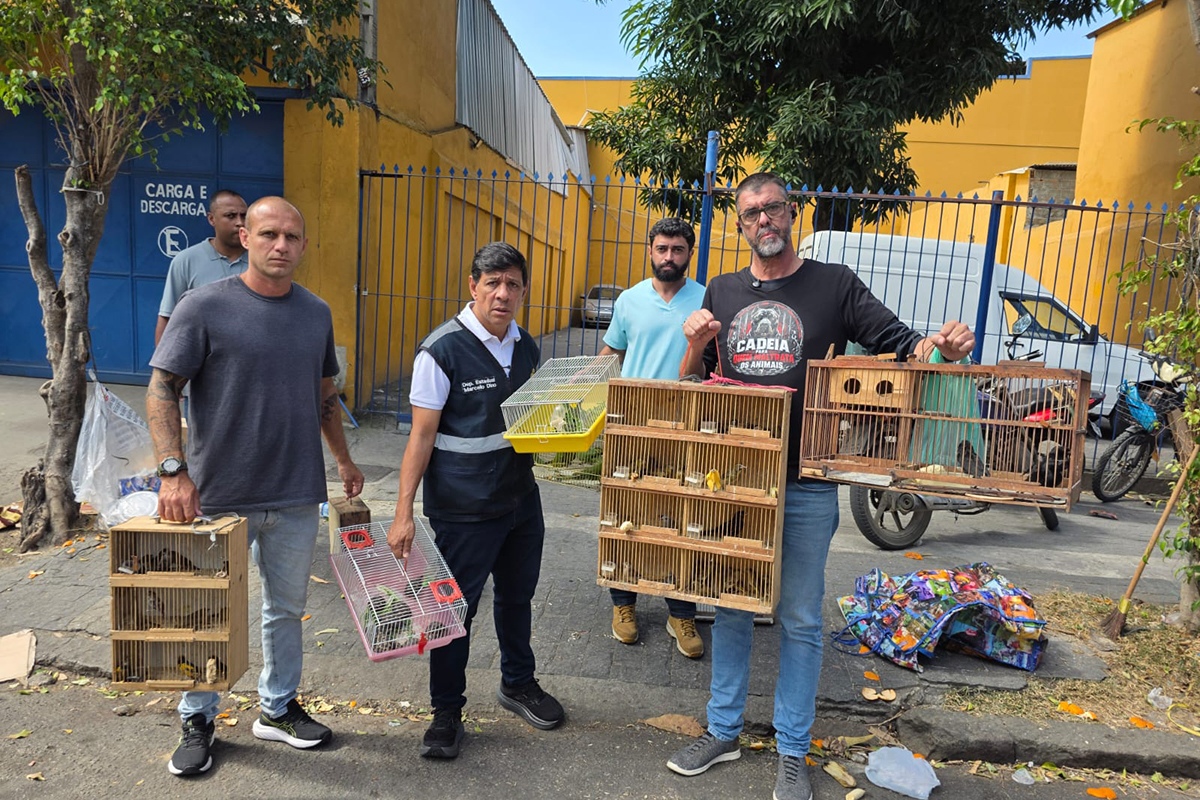 Foto: Divulgação Comissão da Alerj e Polícia Civil apreendem animais silvestres e prendem três em Bangu